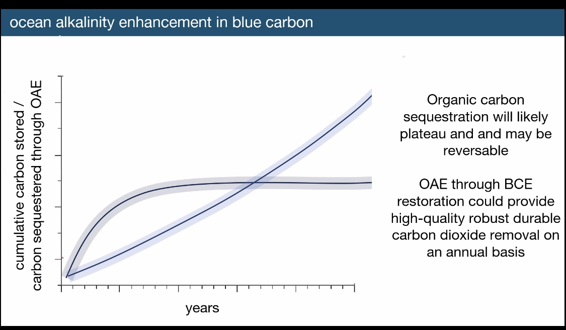 Blue Carbon Graph