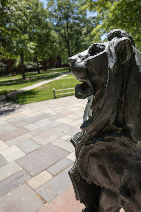 A lion-headed gargoyle watches over Old Campus