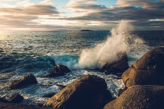 Geological and Ocean Capture decorative