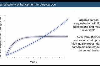 Blue Carbon Graph